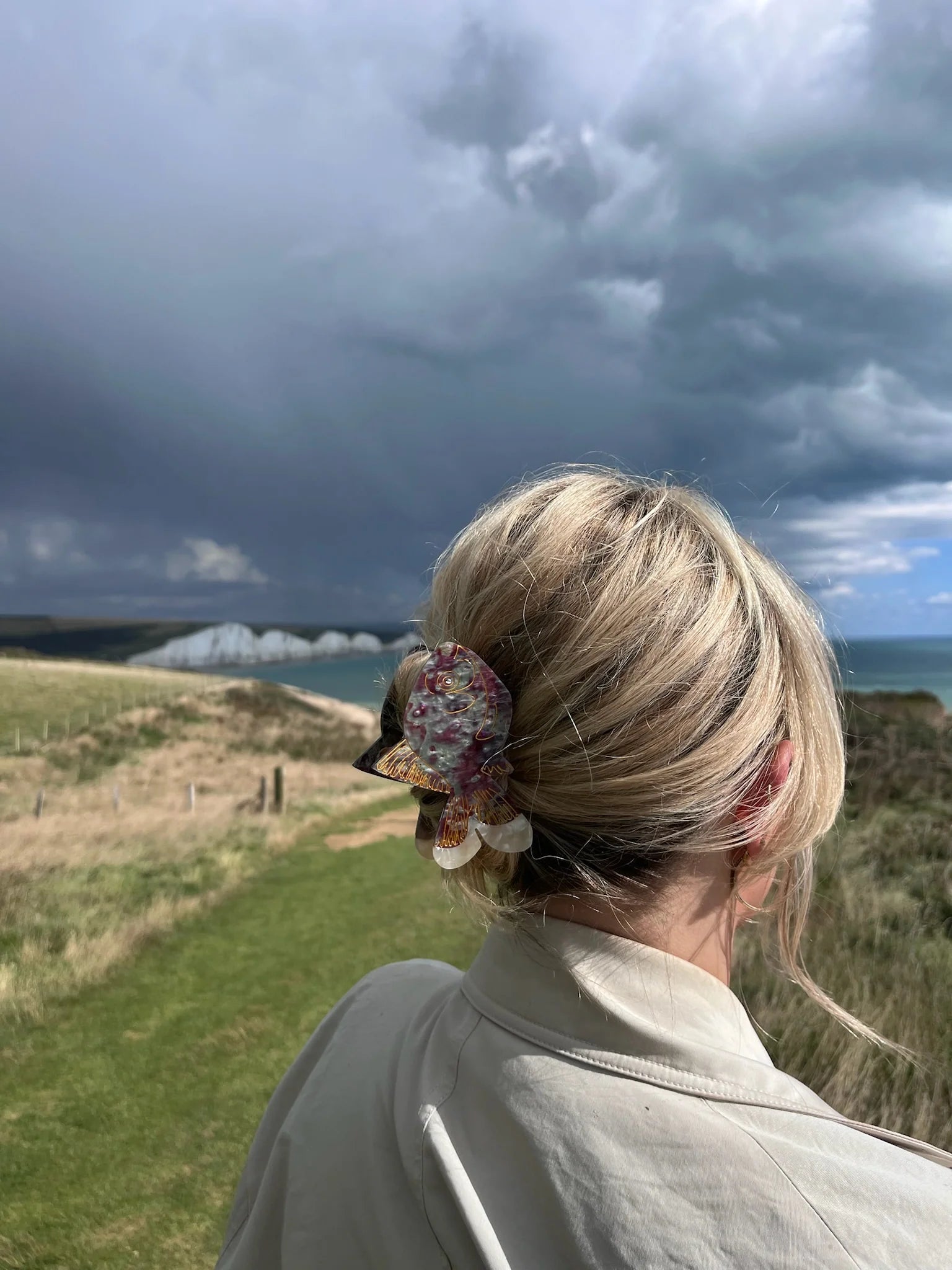 Hand Painted Goldfish Claw Hair Clip in Rainbow