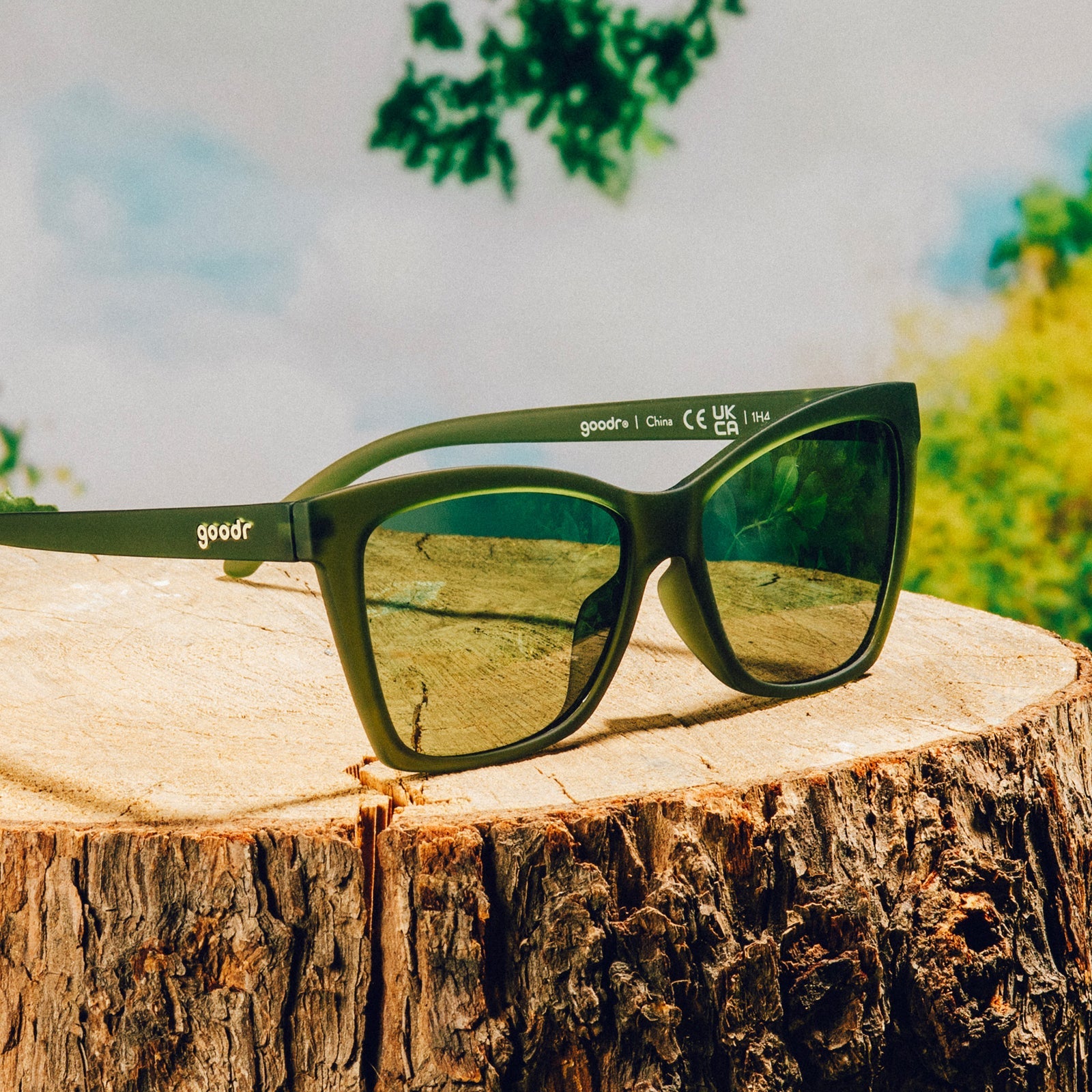 Garnish Me in Greens Pop G Sunglasses