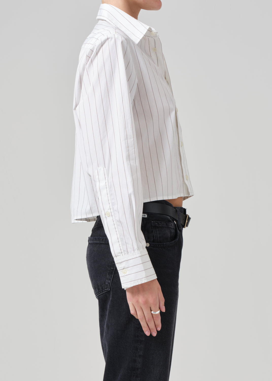 Fino Cropped Shirt In Clove Stripe