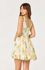 Load image into Gallery viewer, Reina Dress in Lemon Paradise
