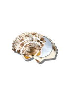 Load image into Gallery viewer, Hand-painted Seashell Compact Mirror
