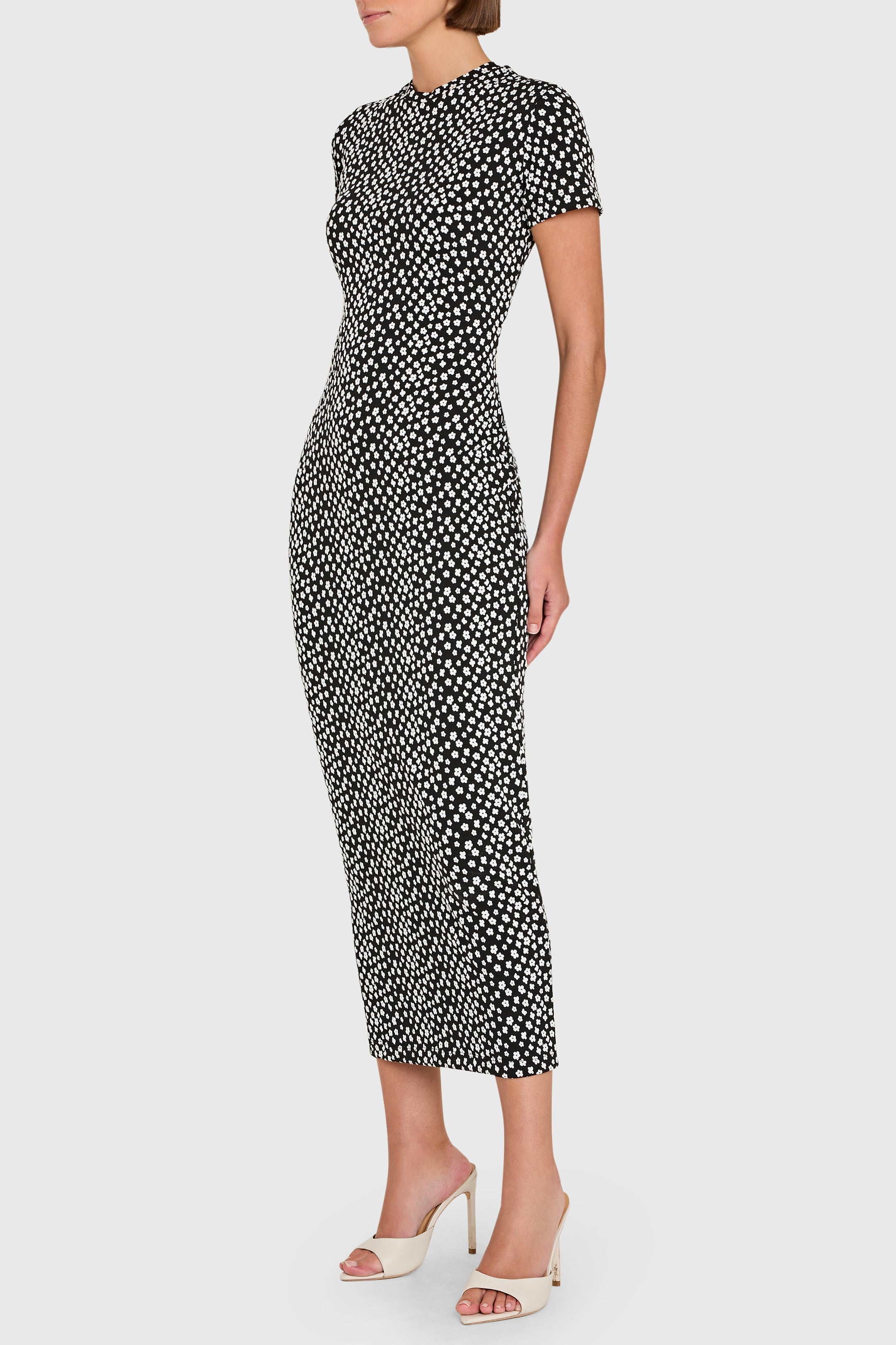 Rosaria Dress in Black/White