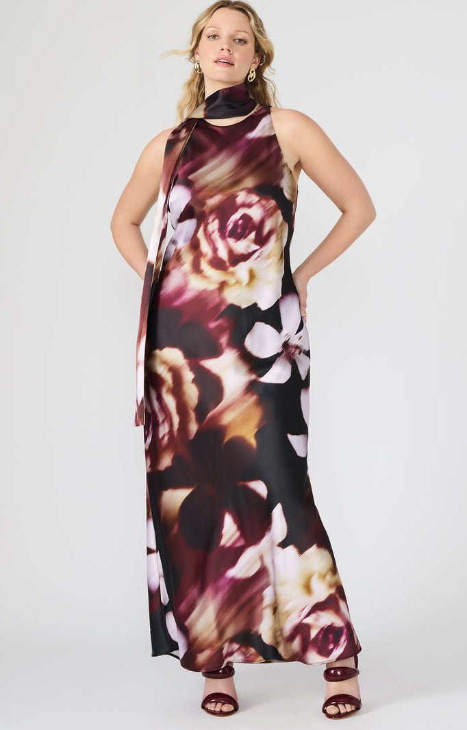 Jaidan Dress in Mesa Rose