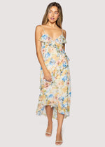 Load image into Gallery viewer, Garden Afterglow Maxi Dress in Multi Floral
