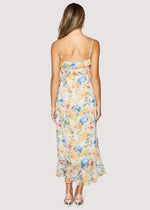 Load image into Gallery viewer, Garden Afterglow Maxi Dress in Multi Floral

