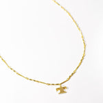 Load image into Gallery viewer, Fortune Initial Necklace in Gold
