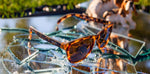 Load image into Gallery viewer, Bosley&#39;s Basset Hound Dreams OG Sunglasses
