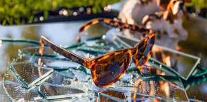 Bosley's Basset Hound Dreams OG Sunglasses